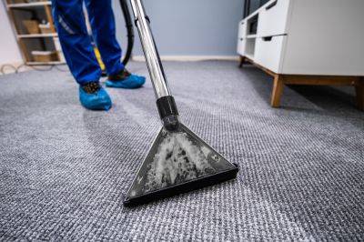 Keep Your Carpets Clean and Fresh with Pet Stain Removal!