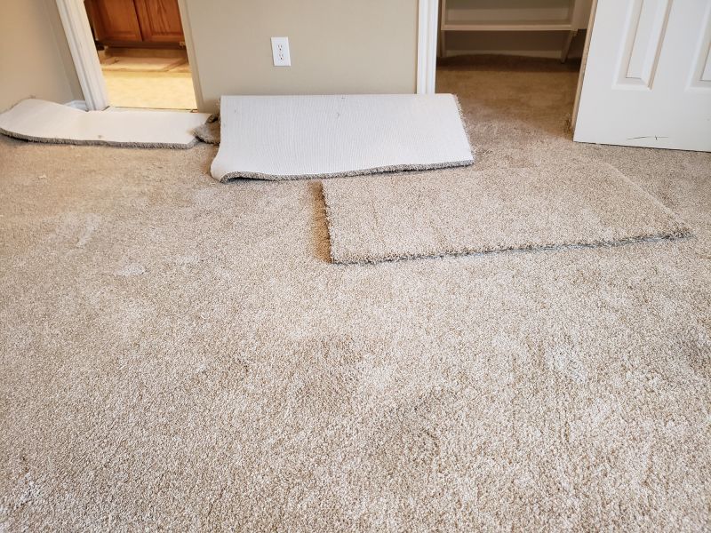Basement Carpet Repair in Littleton, CO
