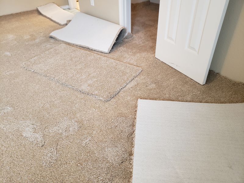 Basement Carpet Stretching in Mercer County, NJ