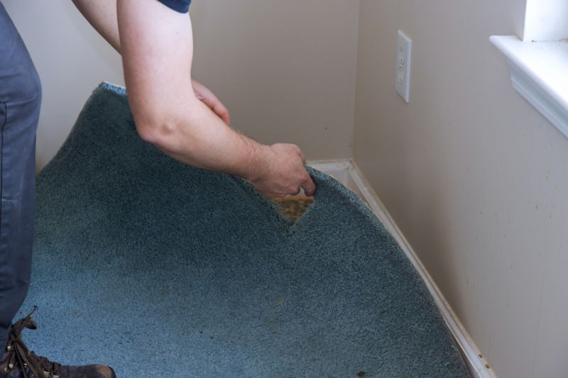 Basement Carpet Stretching in Ocean County, NJ