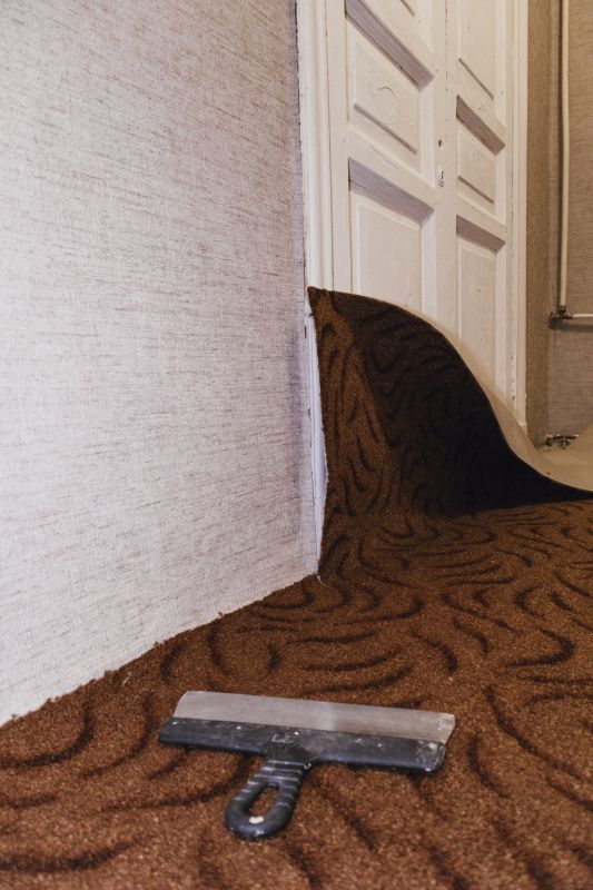 Carpet Burn Repair in Overland Park, KS