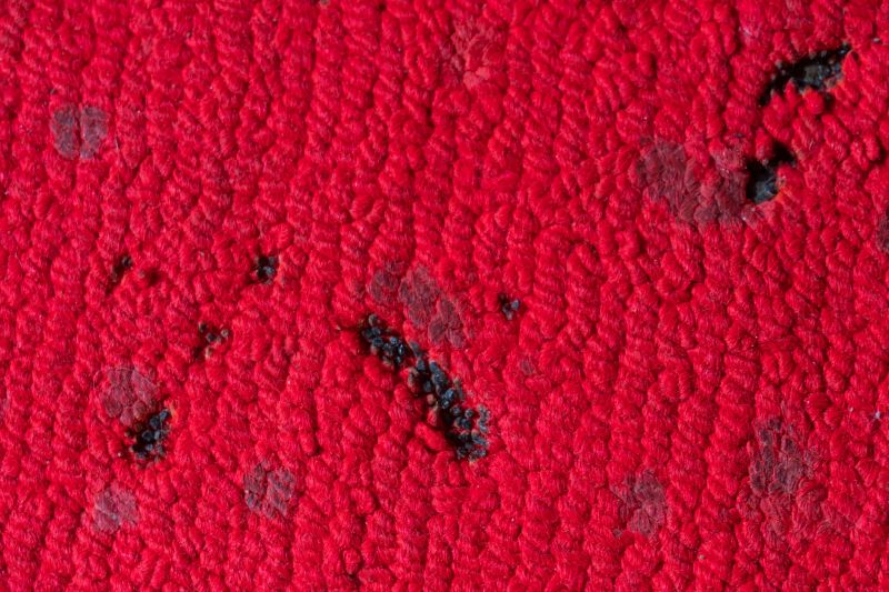 Carpet Repair Service in Overland Park, KS