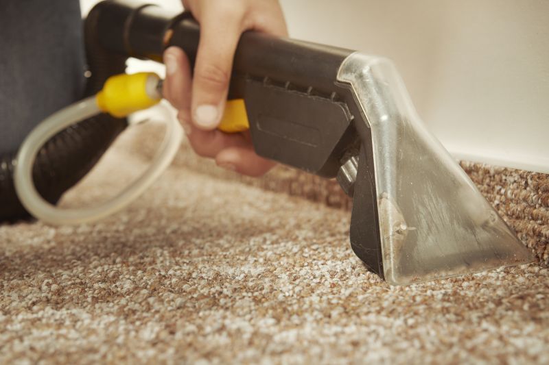 Common Carpet Stains And How Professionals Remove Them