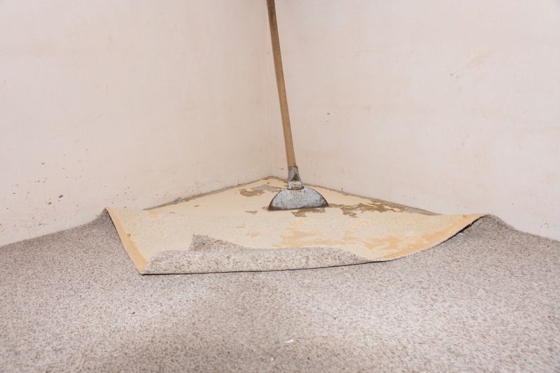 Doorway Carpet Repair in Overland Park, KS