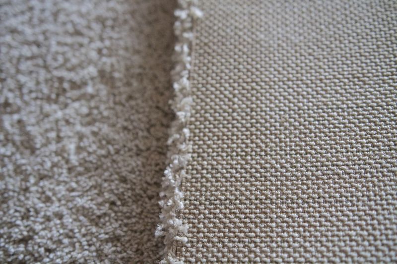 Pet Stain Carpet Repair in Littleton, CO