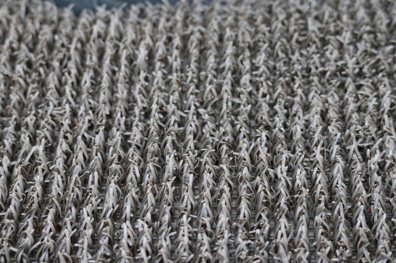 Stair Carpet Repair in Kansas City, KS