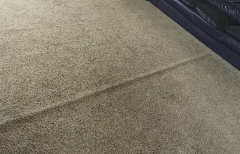 Carpet Repair Service in Overland Park, KS